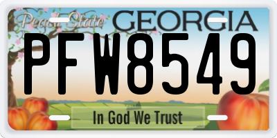 GA license plate PFW8549