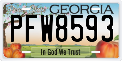 GA license plate PFW8593