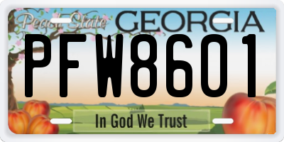 GA license plate PFW8601
