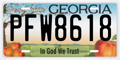 GA license plate PFW8618