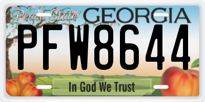GA license plate PFW8644