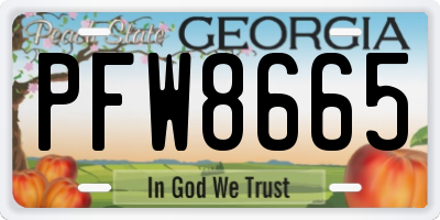 GA license plate PFW8665