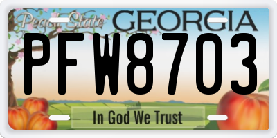 GA license plate PFW8703