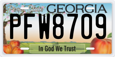 GA license plate PFW8709