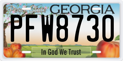 GA license plate PFW8730