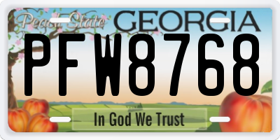 GA license plate PFW8768