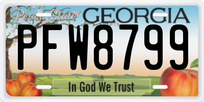 GA license plate PFW8799