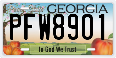 GA license plate PFW8901