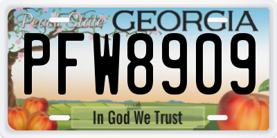 GA license plate PFW8909