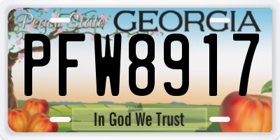 GA license plate PFW8917
