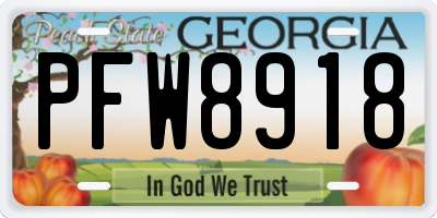 GA license plate PFW8918