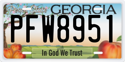 GA license plate PFW8951