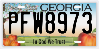 GA license plate PFW8973