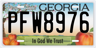 GA license plate PFW8976