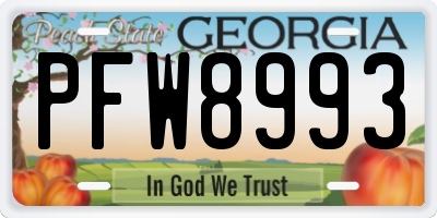GA license plate PFW8993