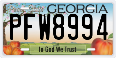 GA license plate PFW8994