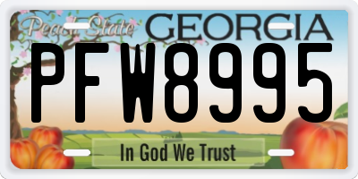 GA license plate PFW8995