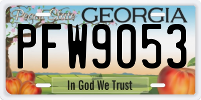 GA license plate PFW9053