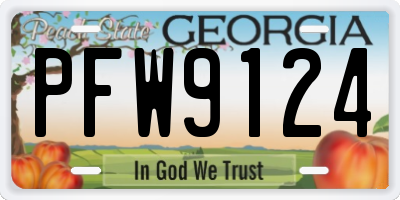 GA license plate PFW9124