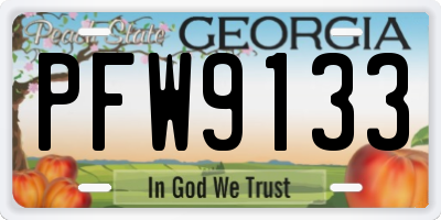 GA license plate PFW9133
