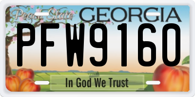 GA license plate PFW9160