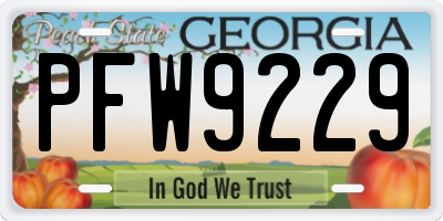GA license plate PFW9229