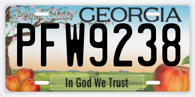 GA license plate PFW9238