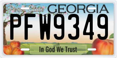 GA license plate PFW9349