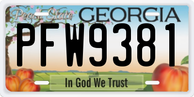 GA license plate PFW9381
