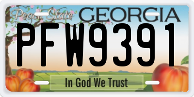 GA license plate PFW9391