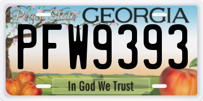 GA license plate PFW9393