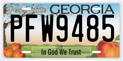 GA license plate PFW9485