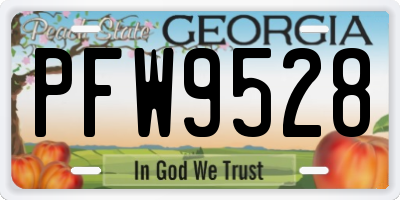 GA license plate PFW9528