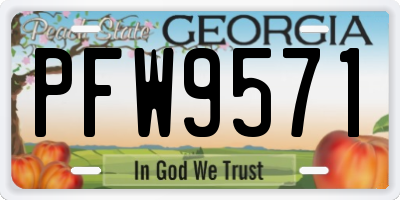 GA license plate PFW9571