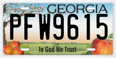 GA license plate PFW9615