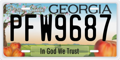 GA license plate PFW9687