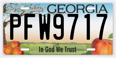 GA license plate PFW9717