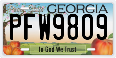 GA license plate PFW9809