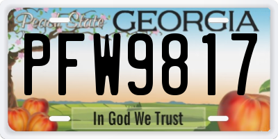 GA license plate PFW9817