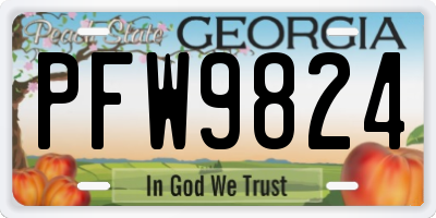 GA license plate PFW9824