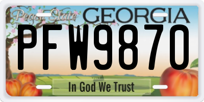 GA license plate PFW9870