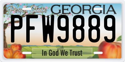 GA license plate PFW9889