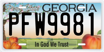 GA license plate PFW9981