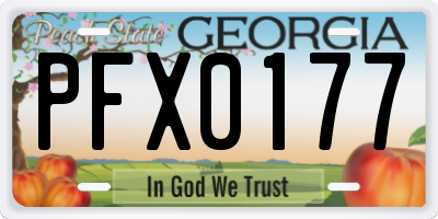 GA license plate PFX0177