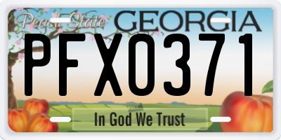 GA license plate PFX0371