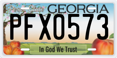 GA license plate PFX0573