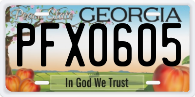 GA license plate PFX0605
