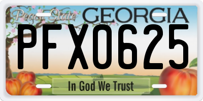 GA license plate PFX0625