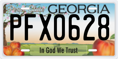 GA license plate PFX0628