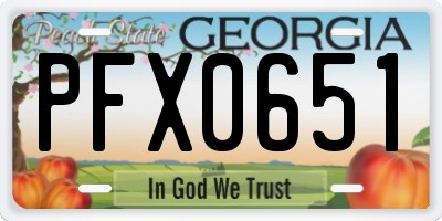GA license plate PFX0651